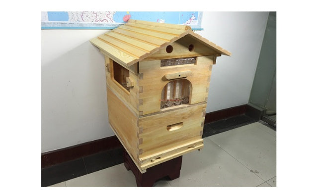 The Last Aztec, Automatic Honey And Honey Bee Spleen