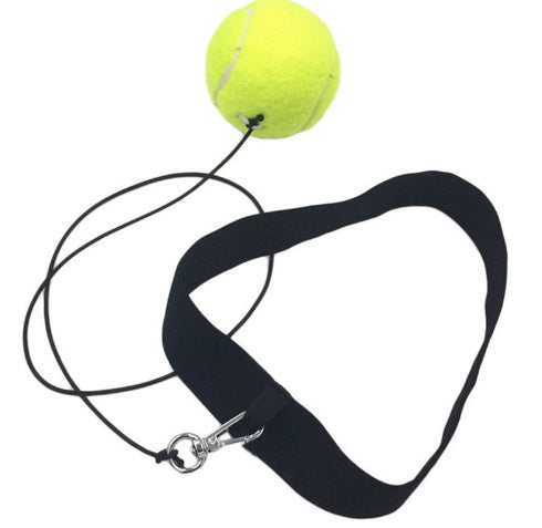 The Last Aztec, Boxing Reflex Ball Fight Ball Punching Speed Ball