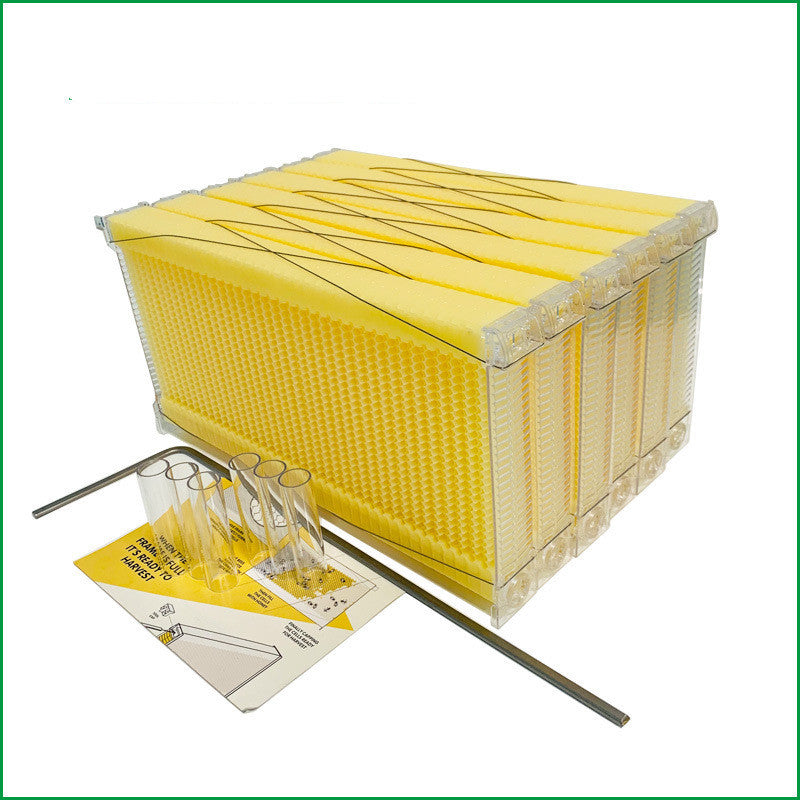 The Last Aztec, Automatic Honey And Honey Bee Spleen