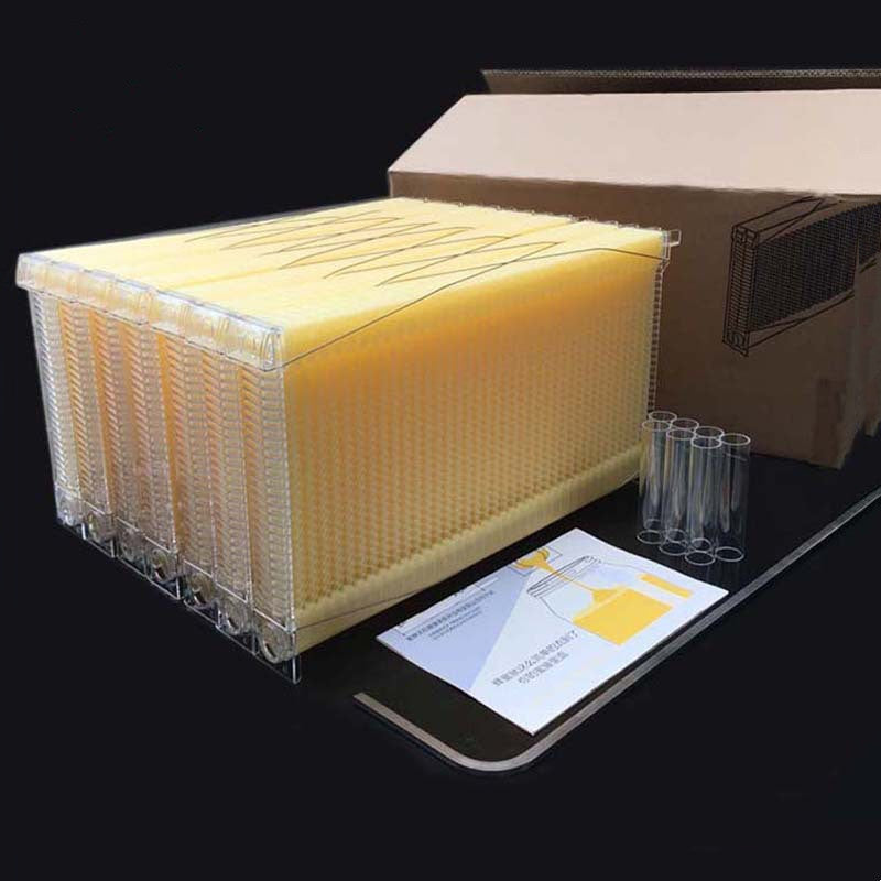 The Last Aztec, Automatic Honey And Honey Bee Spleen