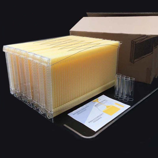 The Last Aztec, Automatic Honey And Honey Bee Spleen