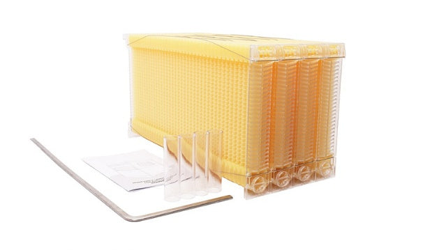 The Last Aztec, Automatic Honey And Honey Bee Spleen