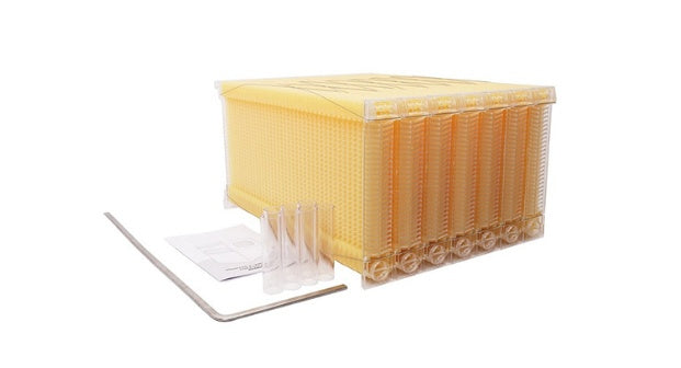 The Last Aztec, Automatic Honey And Honey Bee Spleen