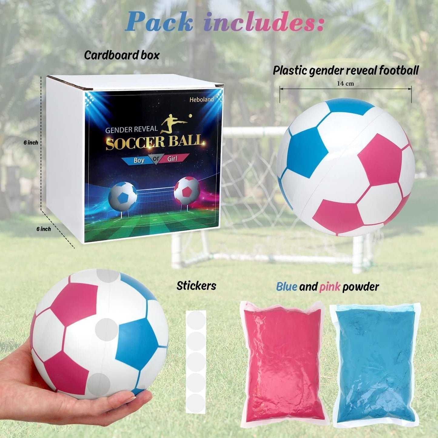 The Last Aztec, Gender Identification Blue And Pink Powder Football Gender Reveal Football