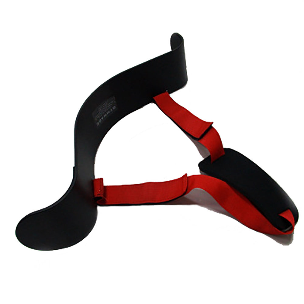 The Last Aztec, Fitness equipment dumbbell curling support plate training barbell