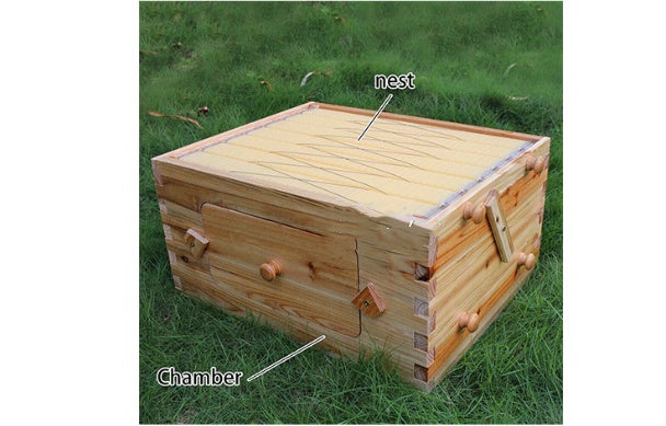 The Last Aztec, Automatic Honey And Honey Bee Spleen