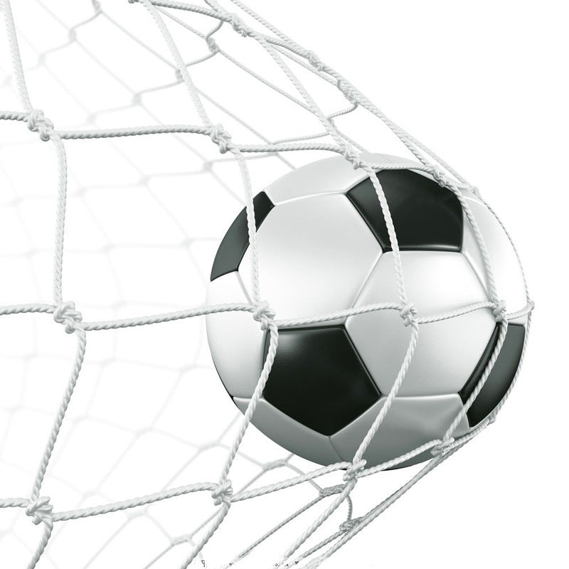 The last Aztec, Multi-specification weather resistant football net