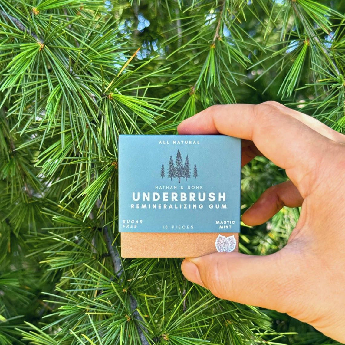 The Last Aztec, Organic MASTIC MINT Miracle Remineralizing Chewing Gum