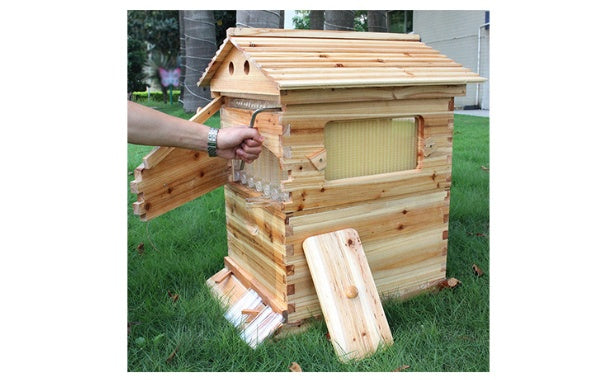 The Last Aztec, Automatic Honey And Honey Bee Spleen