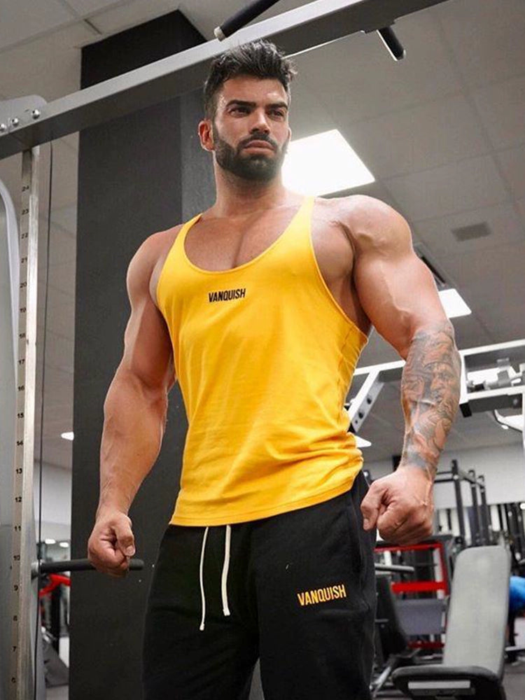 The Last Aztec, Fitness training vest male sports bodybuilding muscle sexy suspenders gym professional running elastic clothes tide