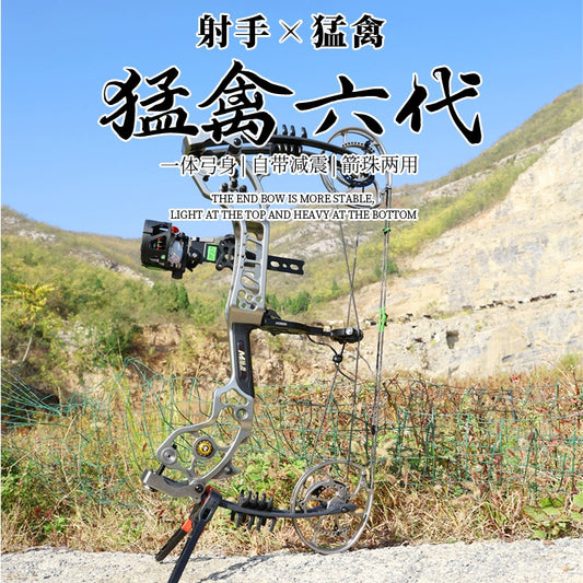Raptor 6 sixth-generation composite bow playing steel ball archery dual-purpose bow high-precision outdoor hunting equipment adult compound bow