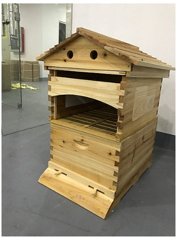 The Last Aztec, Automatic Honey And Honey Bee Spleen