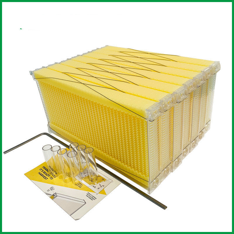 The Last Aztec, Automatic Honey And Honey Bee Spleen