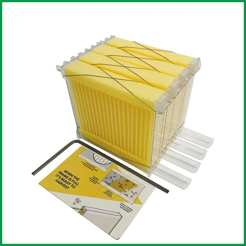 The Last Aztec, Automatic Honey And Honey Bee Spleen